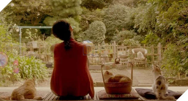 Tổng hợp những tựa phim về mèo ngọt ngào như Adorable Home Phần 2  9