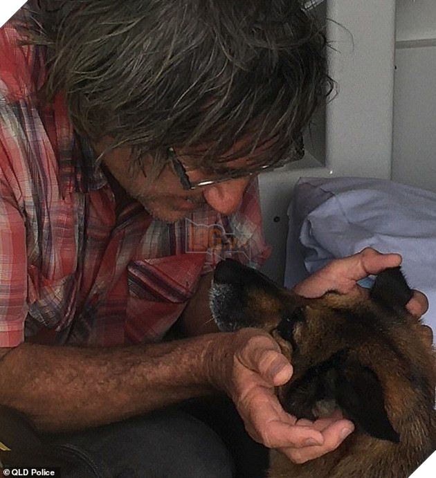 Cảm động chú chó bơi hơn 11 tiếng đồng hồ để tìm người cứu chủ