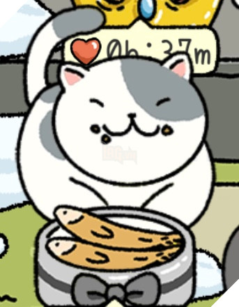 Adorable Home: Cẩm nang nhận diện, nhớ tên và phân biệt bát ăn của các boss 8