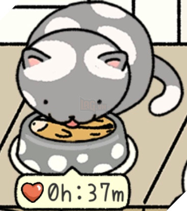 Adorable Home: Cẩm nang nhận diện, nhớ tên và phân biệt bát ăn của các boss 10