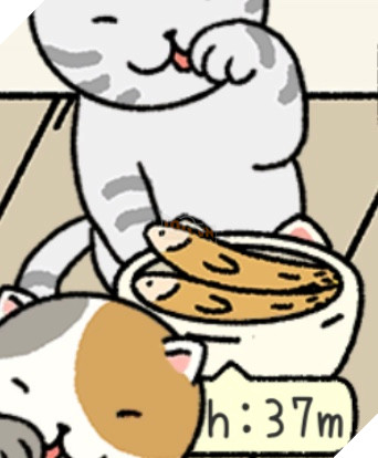 Adorable Home: Cẩm nang nhận diện, nhớ tên và phân biệt bát ăn của các boss 12