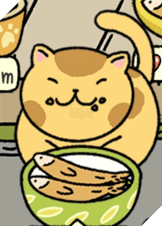 Adorable Home: Cẩm nang nhận diện, nhớ tên và phân biệt bát ăn của các boss 6