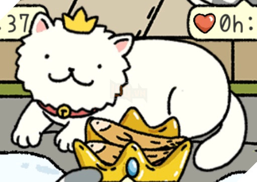 Adorable Home: Cẩm nang nhận diện, nhớ tên và phân biệt bát ăn của các boss 20