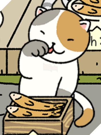 Adorable Home: Cẩm nang nhận diện, nhớ tên và phân biệt bát ăn của các boss 24