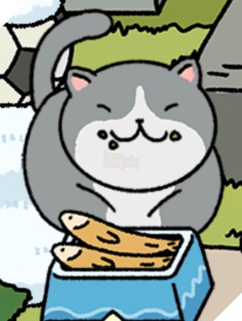 Adorable Home: Cẩm nang nhận diện, nhớ tên và phân biệt bát ăn của các boss 18