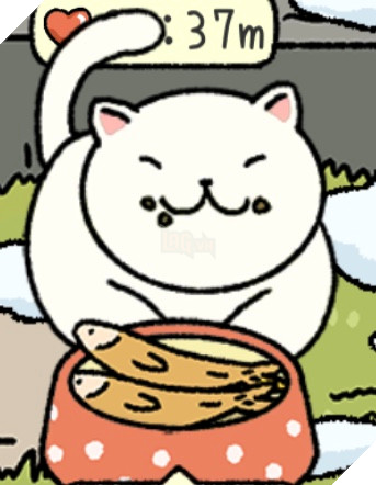 Adorable Home: Cẩm nang nhận diện, nhớ tên và phân biệt bát ăn của các boss 2