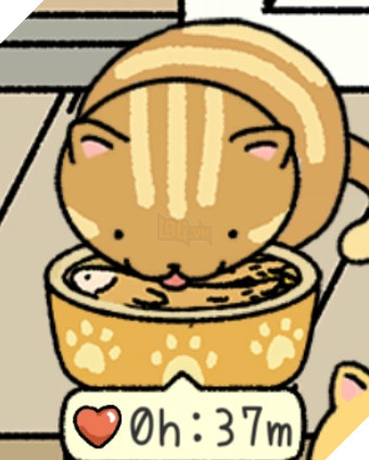 Adorable Home: Cẩm nang nhận diện, nhớ tên và phân biệt bát ăn của các boss 22