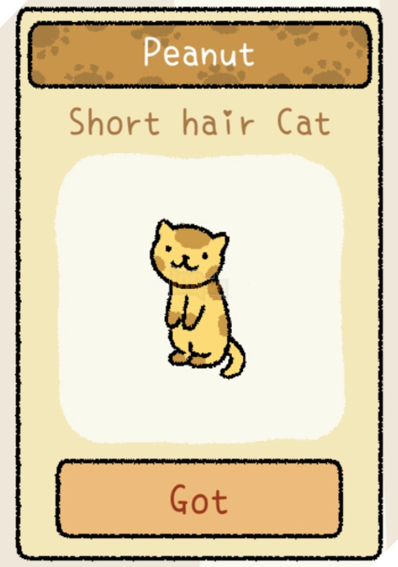 Adorable Home: Cẩm nang nhận diện, nhớ tên và phân biệt bát ăn của các boss 5