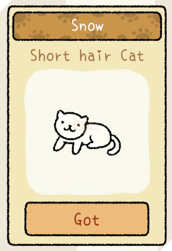 Adorable Home: Cẩm nang nhận diện, nhớ tên và phân biệt bát ăn của các boss