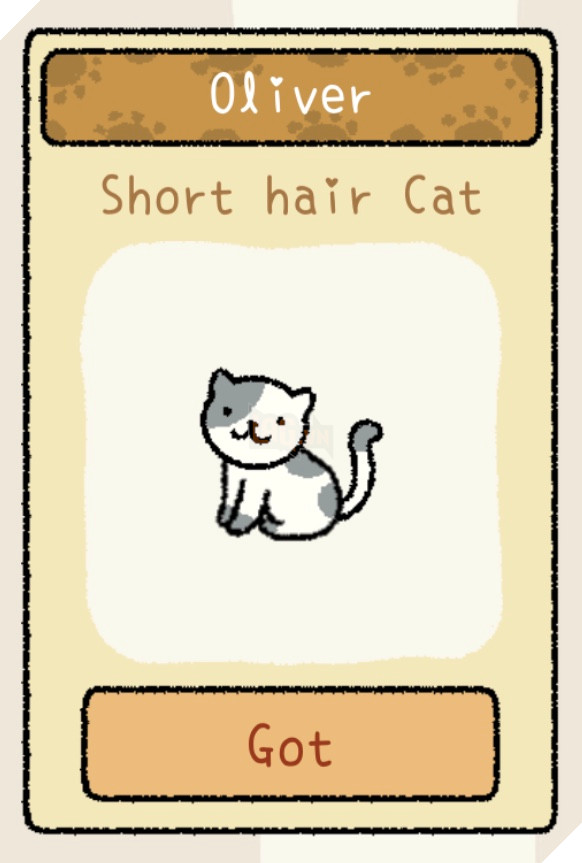 Adorable Home: Cẩm nang nhận diện, nhớ tên và phân biệt bát ăn của các boss 7