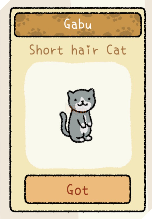 Adorable Home: Cẩm nang nhận diện, nhớ tên và phân biệt bát ăn của các boss 17