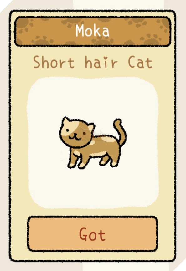 Adorable Home: Cẩm nang nhận diện, nhớ tên và phân biệt bát ăn của các boss 13