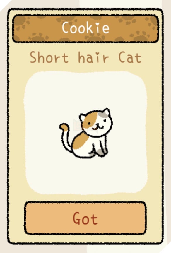 Adorable Home: Cẩm nang nhận diện, nhớ tên và phân biệt bát ăn của các boss 23