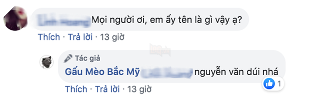 Cư dân mạng đắm đuối vì chú chó hót hòn họt trên Facebook gần 1 tuần qua, lập fanpage 4 ngày thu về 32 ngàn lượt thích, ai nhìn cũng muốn nuôi!   - Ảnh 3.
