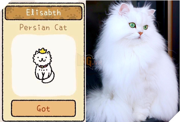 Adorable Home: Hé lộ hình ảnh đời thực của 12 chú mèo hay dỗi  11