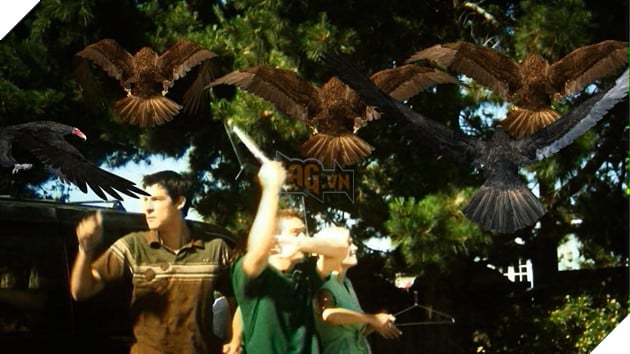 Những tựa phim kinh dị dở đến mức...khiến bạn thấy phí tiền khi xem Phần 2 