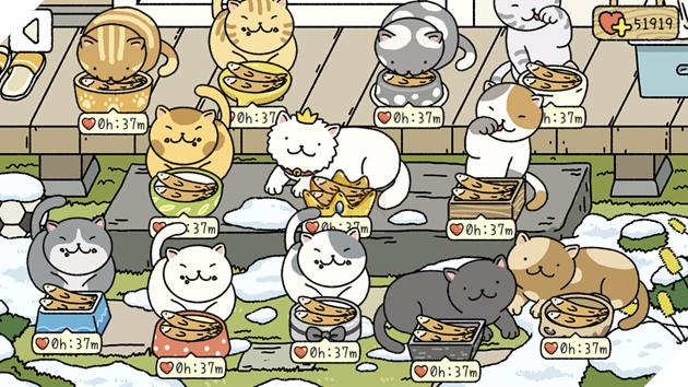 Adorable Home: Hé lộ hình ảnh đời thực của 12 chú mèo hay dỗi 