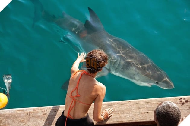 Những tựa phim kinh dị dở đến mức...khiến bạn thấy phí tiền khi xem Phần 2  2