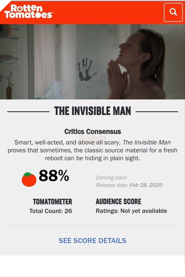 Những lý do khiến bạn không thể bỏ qua The Invisible Man - Bộ phim kinh dị hay nhất năm nay 6