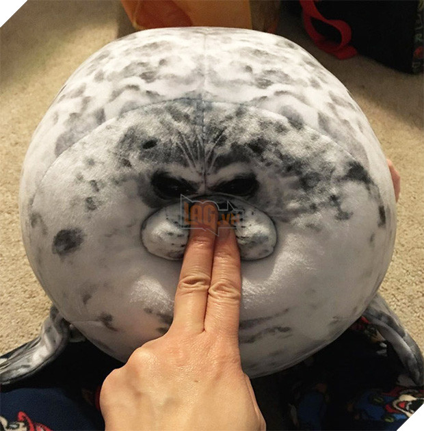 Chiếc gối ôm thương hiệu hải cẩu béo ú này đang làm mưa làm gió trên Internet vì độ mập mạp và dễ cưng của mình - Ảnh 4.