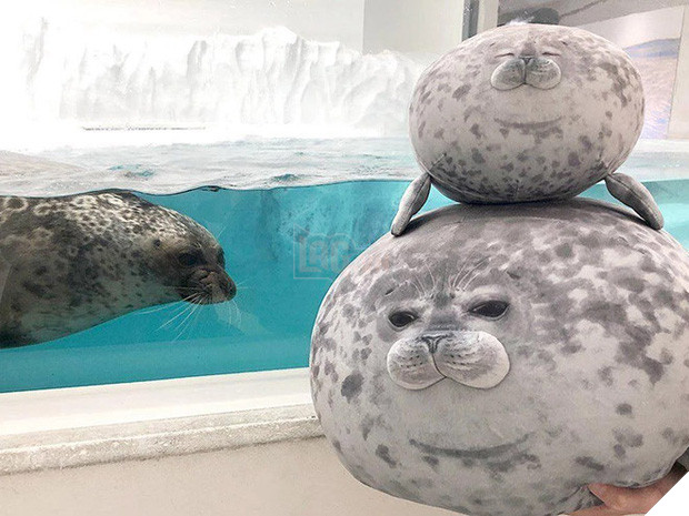 Chiếc gối ôm thương hiệu hải cẩu béo ú này đang làm mưa làm gió trên Internet vì độ mập mạp và dễ cưng của mình - Ảnh 6.