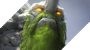 Dota 2: Chi tiet ban cap nhat 7.24b - Nerf toan bo cac Hero va trang bi manh, khong buff thu gi 28 Dota 2: Chi tiết bản cập nhật 7.24b - Nerf toàn bộ các Hero và trang bị mạnh, không buff thứ gì 28