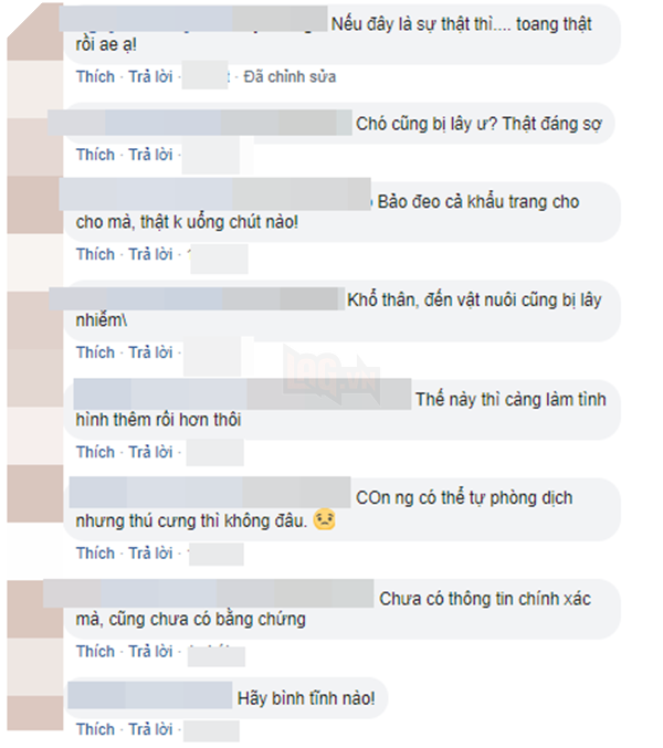 Hồng Kông: Phát hiện chú chó dương tính yếu với virus Corona