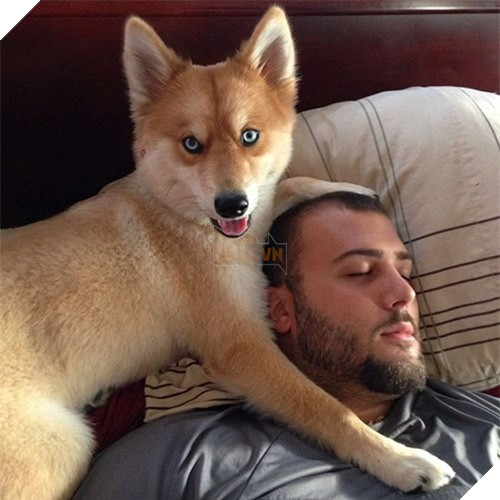 Chet me co cho lai noi tieng dep giong het cao do-Hinh-10