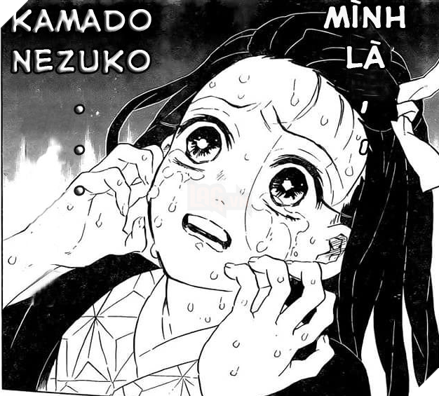 Kimetsu No Yaiba He Lộ Ly Do Thực Sự Khiến Chua Quỷ Muzan Tấn Cong Va Sat Hại Toan Bộ Gia đinh Kamado