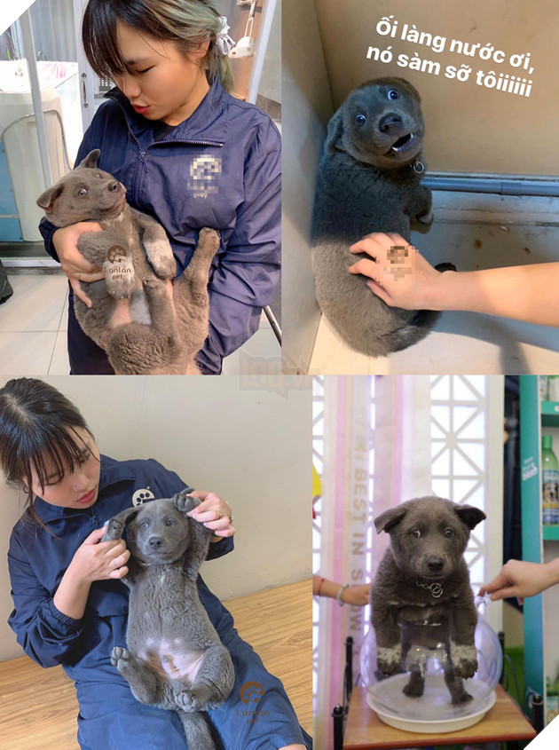  
Cũng đi spa như ai, nhưng vẫn còn...phèn lắm 