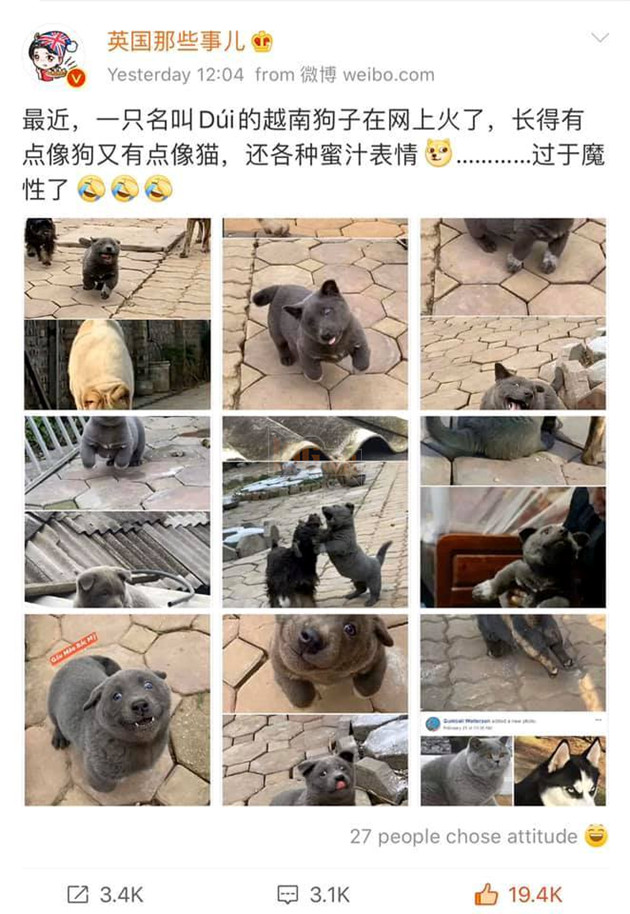  
Nguyễn Văn Dúi xuất hiện trên mạng xã hội Trung Quốc (Ảnh chụp màn hình)