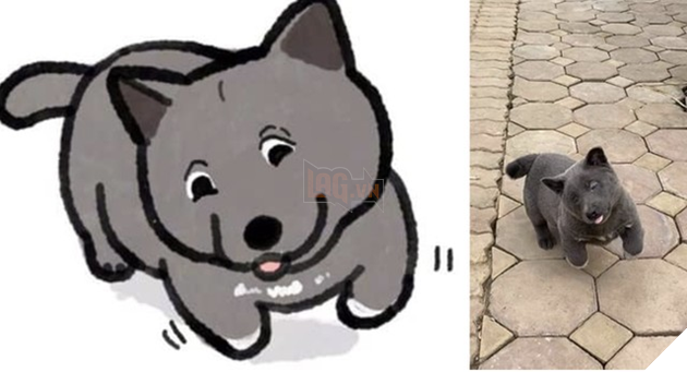 Hiện tượng mạng Nguyễn Văn Dúi được họa sĩ TQ tặng hẳn bộ ảnh chibi siêu cute - Ảnh 3.