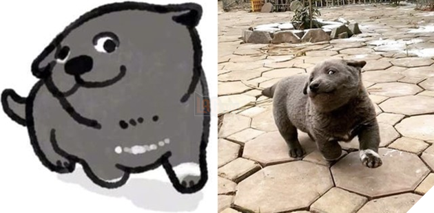 Hiện tượng mạng Nguyễn Văn Dúi được họa sĩ TQ tặng hẳn bộ ảnh chibi siêu cute - Ảnh 6.