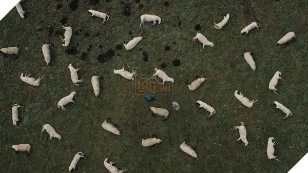 DARK: Siêu phẩm series kinh dị - khoa học viễn tưởng siêu hack não và đen tối của Netflix 4