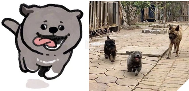 Hiện tượng mạng Nguyễn Văn Dúi được họa sĩ TQ tặng hẳn bộ ảnh chibi siêu cute - Ảnh 7.