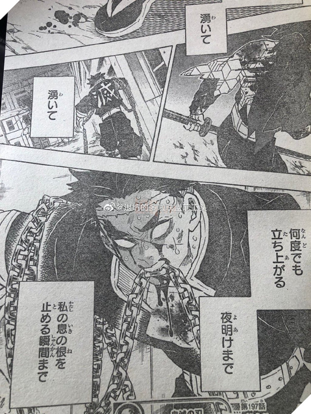 Spoiler Kimetsu No Yaiba tập 197 - Các trụ cột động loạt tỉnh dậy, Muzan đang trở nên kiệt sức không thể di chuyển được 7