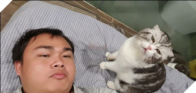 Điểm qua loạt thú cưng nổi tiếng và được chế ảnh meme khắp các diễn đàn mạng hiện nay - Ảnh 4.