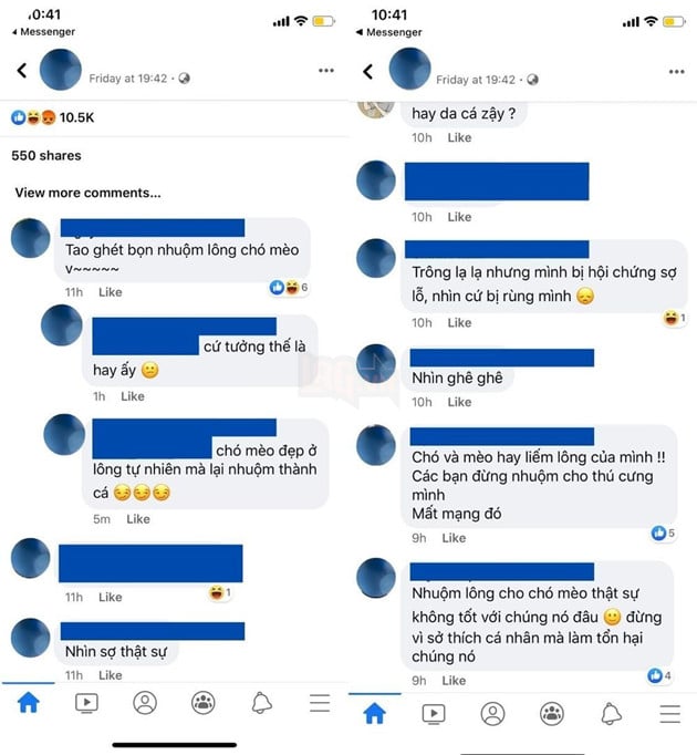 Những ý kiến lên án và chê trách hành vi của chủ chú cún. (Ảnh chụp màn hình).