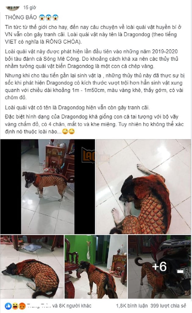  
Bài đăng của chủ chú cún bị nhuộm lông giống rồng. (Ảnh chụp màn hình)