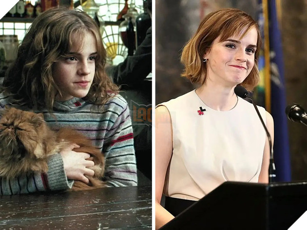 Nhìn lại những mỹ nhân khuấy đảo màn ảnh rộng trong thập kỷ qua