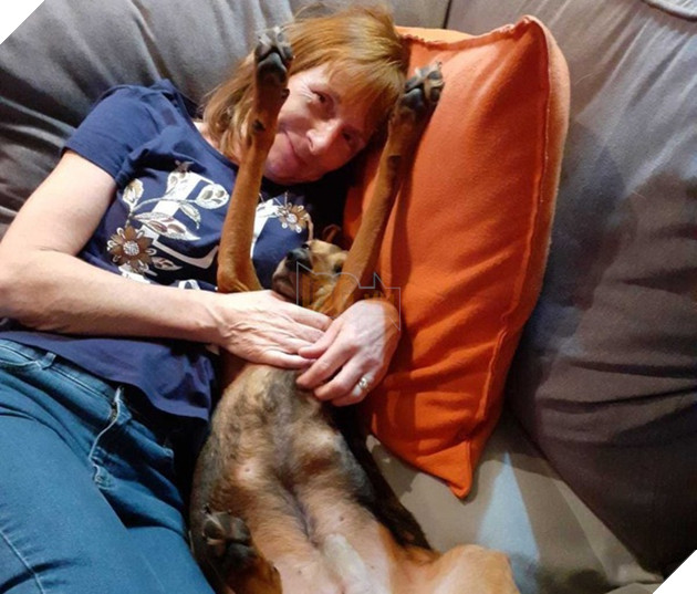 Nhận nuôi chú chó “da bọc xương”, người phụ nữ được đền đáp bằng…sự sống 3