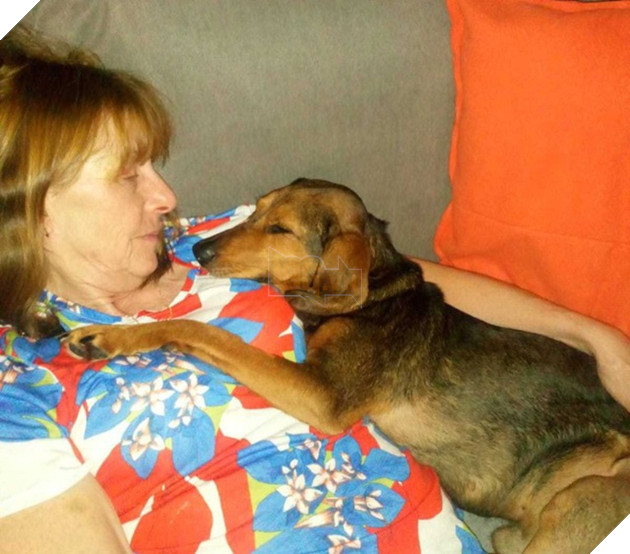 Nhận nuôi chú chó “da bọc xương”, người phụ nữ được đền đáp bằng…sự sống 5