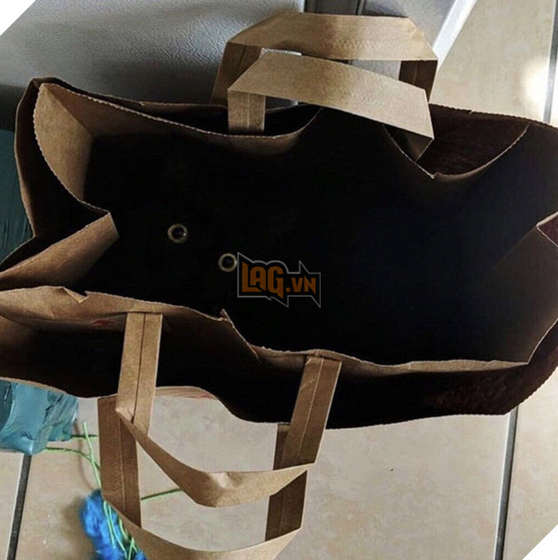 Loạt ảnh siêu dễ thương về mèo mun cho thấy chúng không phải điềm xấu như ta tưởng - Ảnh 1.