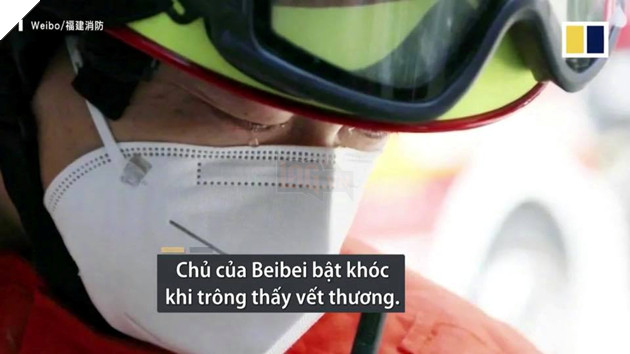 CHÚ CHÓ CỨU MẠNG 6 NGƯỜI MẮC KẸT TRONG VỤ SẬP KHÁCH SẠN CÁCH LY TẠI TRUNG QUỐC! 7