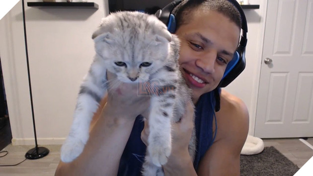 LMHT: Cộc cằn như Tyler1 cũng không cầm được nước mắt trên stream khi mèo cưng của anh qua đời - Ảnh 5.