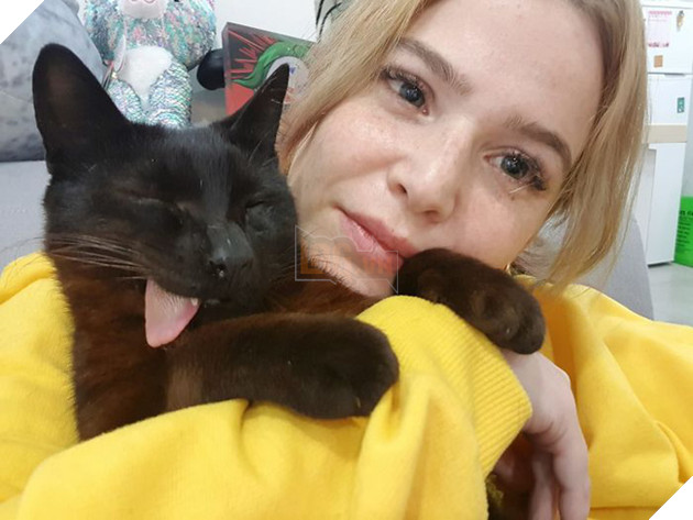 Bị chó cắn hỏng mặt, mèo &quot;pờ lè&quot; thoát chết rồi trở thành ngôi sao mạng nhờ biểu cảm có 1-không-2 - Ảnh 14.