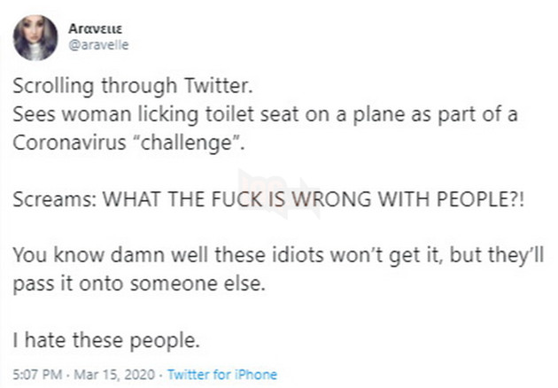 Ava Louise và thử thách liếm bồn cầu mùa Corona là gì và Xu hướng mới kinh dị như thế nào? 3