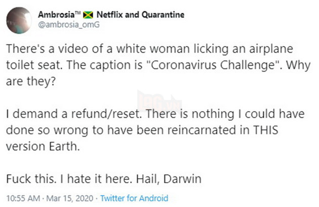 Ava Louise và thử thách liếm bồn cầu mùa Corona là gì và Xu hướng mới kinh dị như thế nào? 7