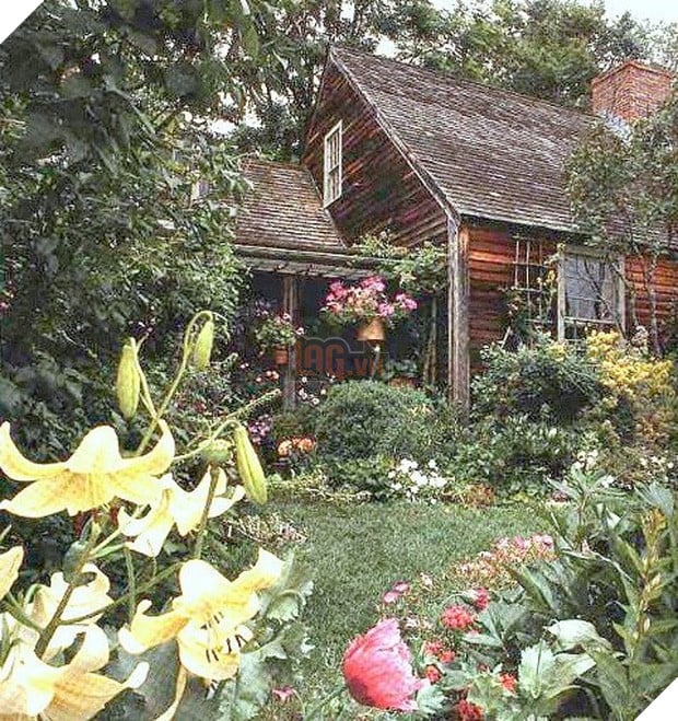 Ngôi nhà cổ tích có thật của bà cụ 92 tuổi khiến ai ai cũng phải trầm trồ, ước mơ - Ảnh 1.