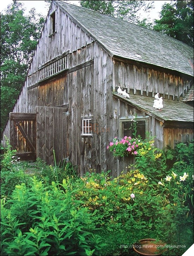 Ngôi nhà cổ tích có thật của bà cụ 92 tuổi khiến ai ai cũng phải trầm trồ, ước mơ - Ảnh 2.